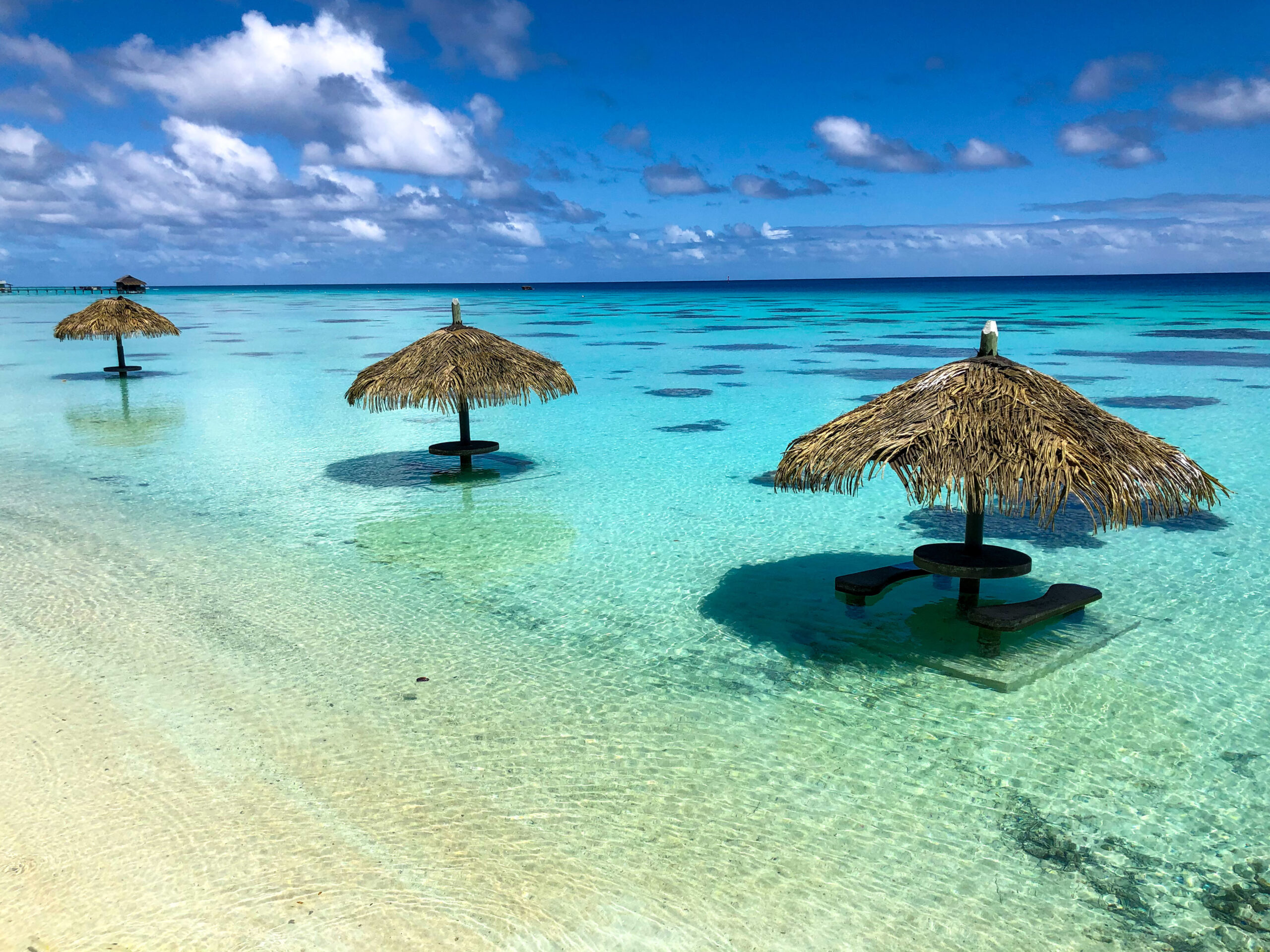 Zanzibar Exotic Spice & Beach Experience